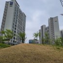 왕숙천수변공원길 이미지