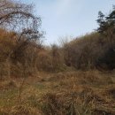 율산리 마을회관 이미지