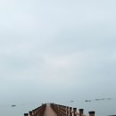 정*남 - 965 | 정*남
