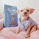 주식회사 지앤원 | 강아지사료 슬로우푸드 고스비 지중해식 건강식단이라 더 좋음