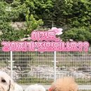 설악동 C2 주차장 이미지