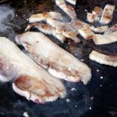 지리산흑돼지촌마을 이미지