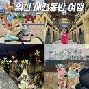 마을안관광코스 13코스 | 익산 여행코스 놀거리 애견동반 카페 식당 여행지 추천 바람개비마을