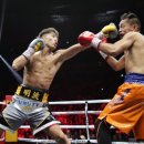 플렉스 복싱 PT 이미지