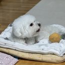 태권도 진보체육관 | A weekly diary Between June and July 📝