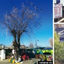 무수골마을입구 이미지