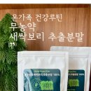 풀림식품 | 아이와 함께 먹는 건강식품🌿무농약 새싹보리 분말 솔직 후기
