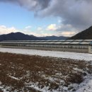 강림면320 이미지