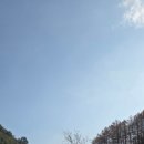 미선향테마파크 이미지