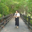 이혜숙헤어샵
