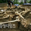 고은3리 이미지