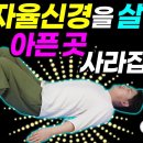 자율신경건강법 | 자율신경이 살아납니다! 쉽고 효과적인 3분 자율신경운동법과 명상법 이미지