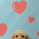 포즈티브 이미지