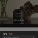 아쿠아슈가