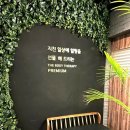 힐링샷