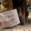 더포레스트 이천 이미지