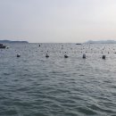 고고펜션 이미지