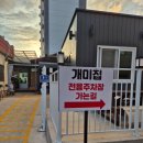 개미아구찜 | 맛집 추천]포항에서 찾은 이곳만의 특별한 메뉴 대구뽈불고기 맛집 연일개미집(개미국시방) 내돈내산 후기