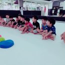 백송영재 이미지