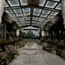 장양초등학교 | 원주 빌라드아모르 라 스텔라 가든 예식, 신랑신부 필수 정보 총정리