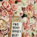 방곡초등학교 | 부산 기장 정관) 단체간식 추천! 슈가몽 레터링 음료 &amp; 디저트 선물세트로 마음을 전하세요 🎁☕