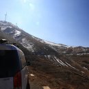 초산목장 Daum카페