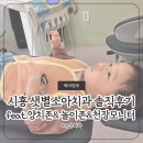 샛별유치원 | 시흥 샛별소아치과 영유아검진 정기검진, 불소도포 관리팁 정리