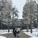 비브라더스 | 🪄 도쿄 해리포터 스튜디오 다녀온 후기와 꿀팁 (워너브라더스 스튜디오)