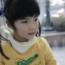 장예진 Daum카페