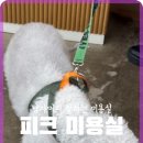 피크미용실