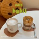 [동탄] 애견동반 가능한 센트럴파크 카페, 카페바빌 🐶☕