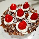 파파레브 이미지