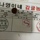 나영농장 이미지