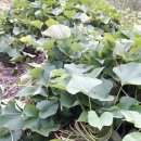 우슬농장 이미지