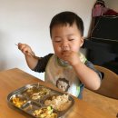 야곱농장 이미지