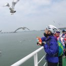 신시도(신도, 시도, 모도)의 즐거운 라이딩(6차) 이미지