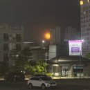 서동물병원 | 26.05