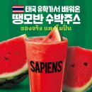 커피사피엔스 - 평택시 비전2로 196 | 커피사피엔스