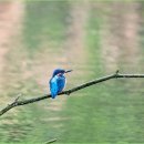 작은친구 이미지