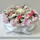 잠신초교병설유치원 이미지