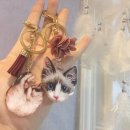 치타박스 이미지