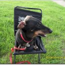 압독생활체육공원 이미지