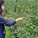 장흥슈퍼 이미지