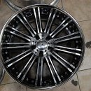 와일드인터내셔널 이미지