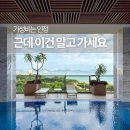 니즈호텔 | 나트랑 사비아 호텔 솔직 후기, 가성비는 좋았지만 이런 여행엔 비추