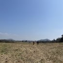 서광리-19 이미지