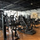 피트니스247 이미지