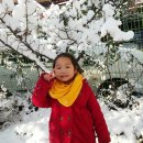 삼일어린이집 이미지