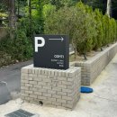 조이애견(Joy kennel) | 대구카페::대구 북구 칠곡 도남동 콘티(CONTI) 대구 트리카페 실내 애견동반 가능