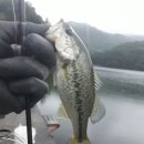 왕숙천 자전거도로10 이미지